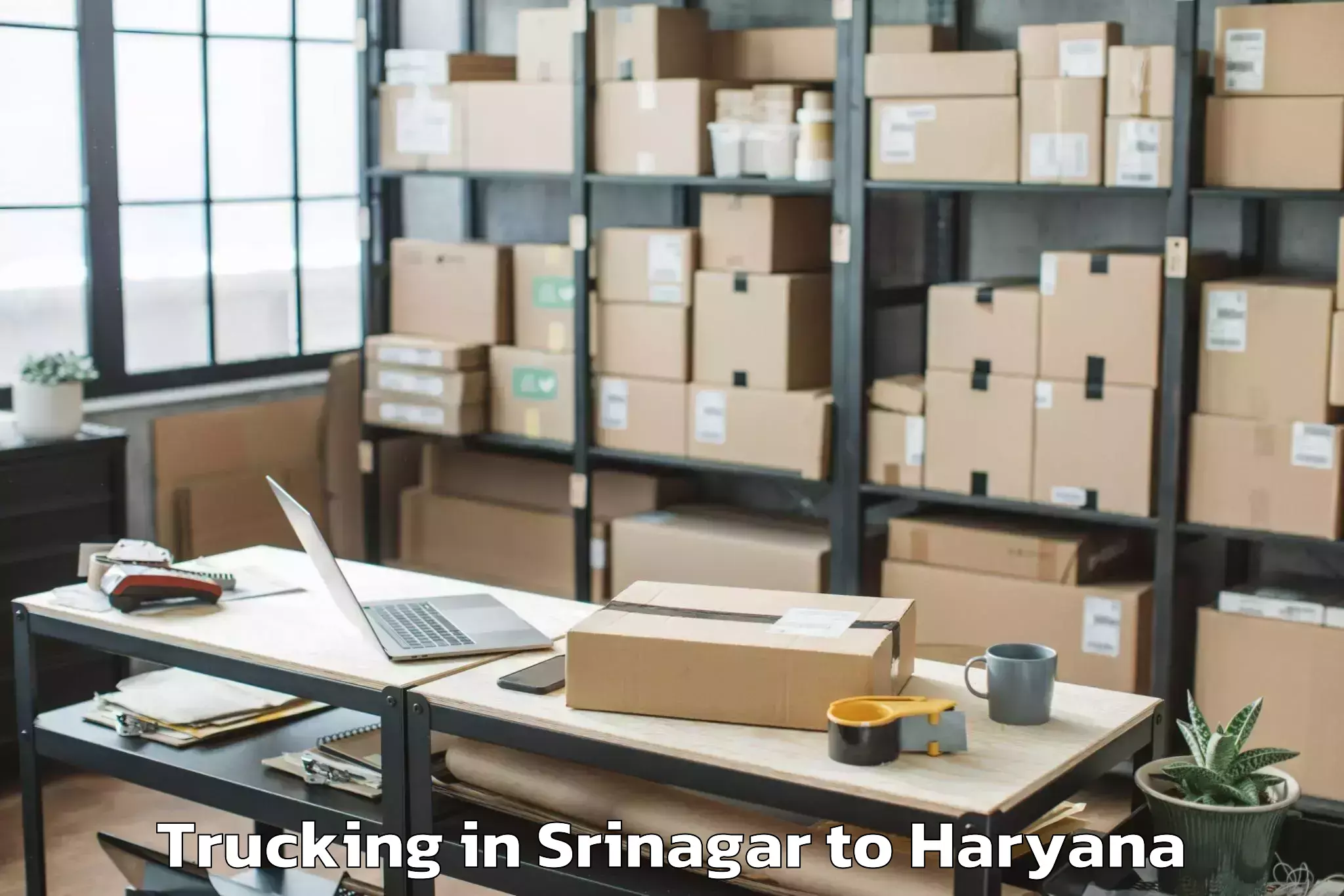 Expert Srinagar to Cyber City Gurgaon Trucking